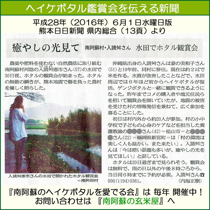 緑もち米 古代米 1.4kg,玄米,令和7年産,緑米,ヘイケボタルが棲む