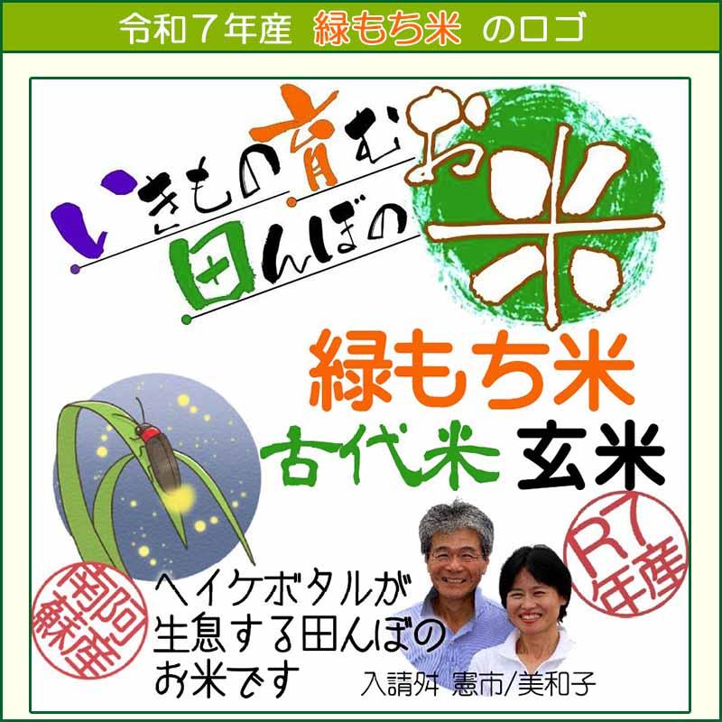 【引取専用】緑米（もち米） 10kg 農薬不使用 農家直売 古米 緑もち米 古代米 1.4kg,玄米,令和7年産,緑米,ヘイケボタルが棲む