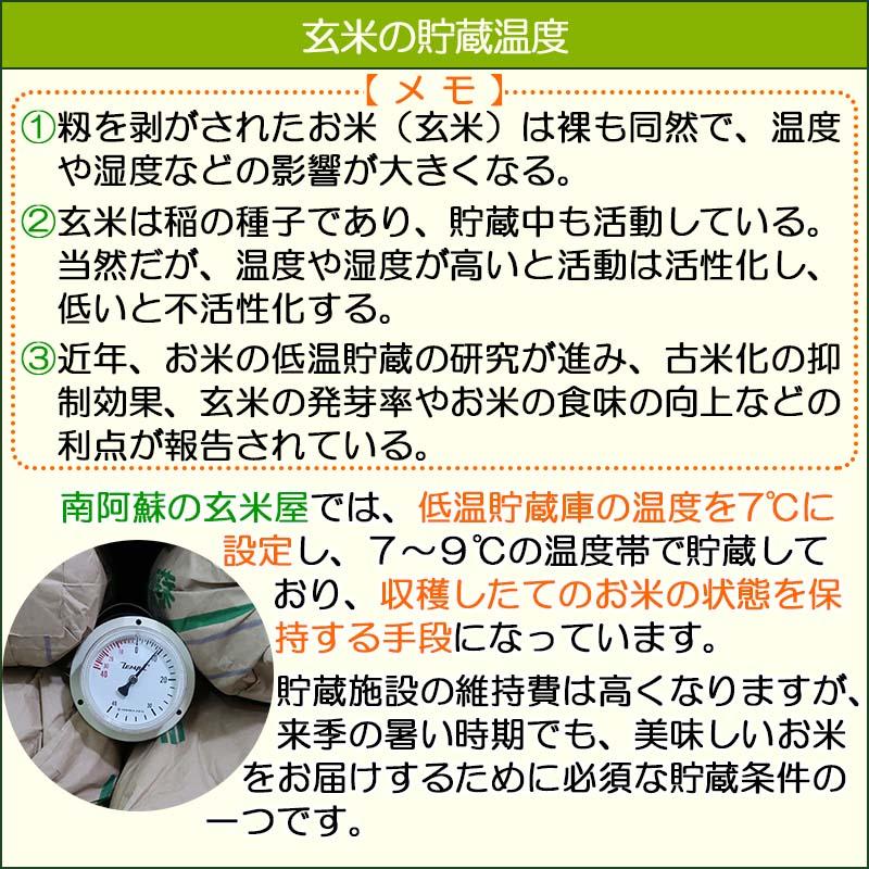 緑米（もち米） 10kg 農薬不使用 農家直売 古米 楽天市場】自然栽培もち米 緑米の通販