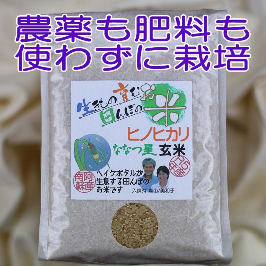 ヒノヒカリ ななつ星 玄米,5kg,令和5年産,ヘイケボタルが生息 ヒノヒカリ ななつ星 玄米,5kg,令和5年産,ヘイケボタルが生息