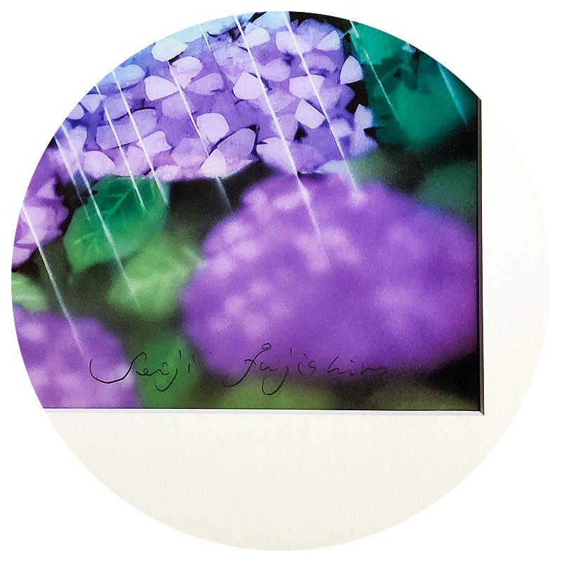 藤城清治【あじさいと少年】限定250部／DXリトグラフ／版画／直筆