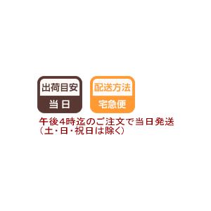 避難口誘導標識 中輝度蓄光式 ｎａｂ２５ 非常口 矢印無し Nab25 現場の安全 標識 保安用品 通販 Yahoo ショッピング