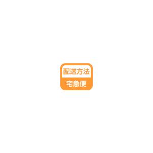 低圧透明シート 850×2200mm 【600V以下】電気絶縁シート ヨツギ 低圧透明シート 850×2200mm 【600V以下】電気絶縁シート ヨツギ