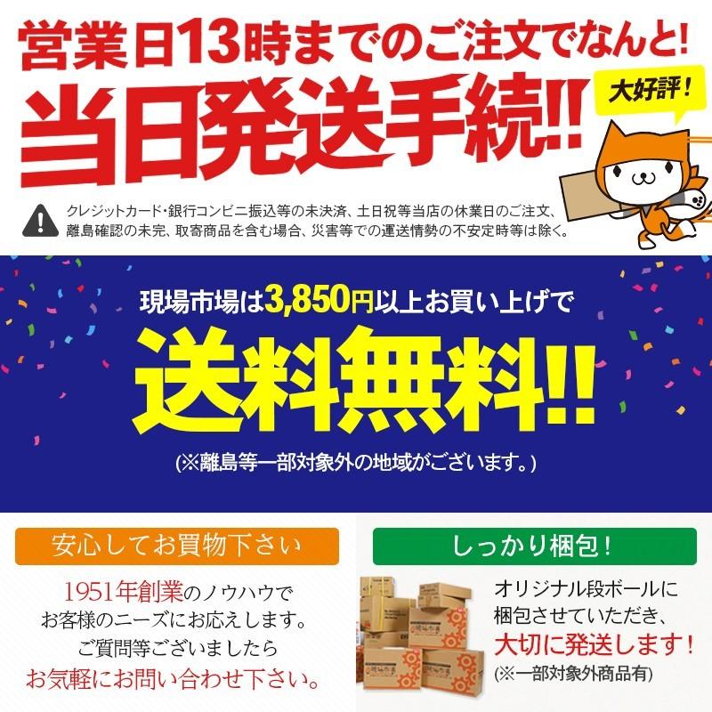 ブルーシート 軽量 1.8x2.7m 実寸 1.7x2.5 1枚入|軽量シート 薄手シート 養生シート レジャーシート 雨除けシート ブルー ハトメ付き DIY 現場 土木 工事 防災|genbaichiba|08