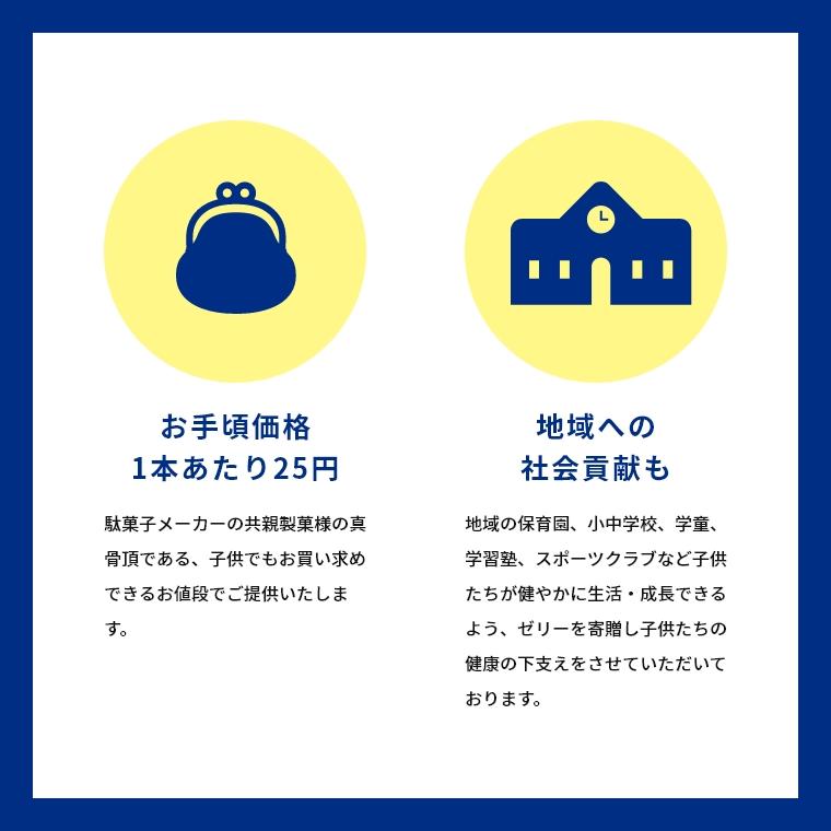 熱中症対策 スポーツの相棒 塩ビタミンゼリー レモン味 1kgボトルタイプ 約100本入 共親製菓 | 共親製菓 | 07