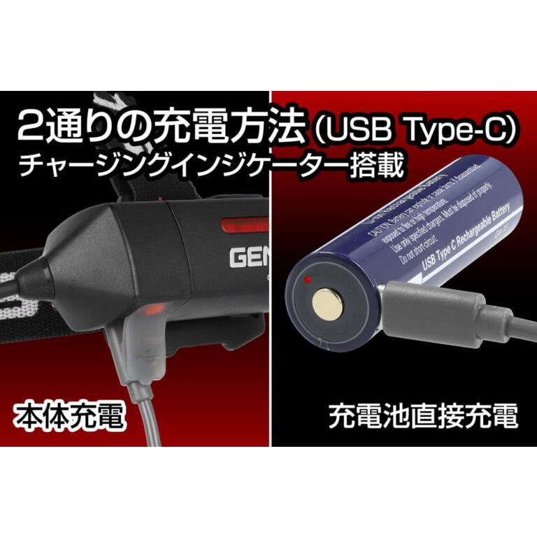 GENTOS（ジェントス） ヘッドライト led 明るい 充電池 乾電池 兼用 G
