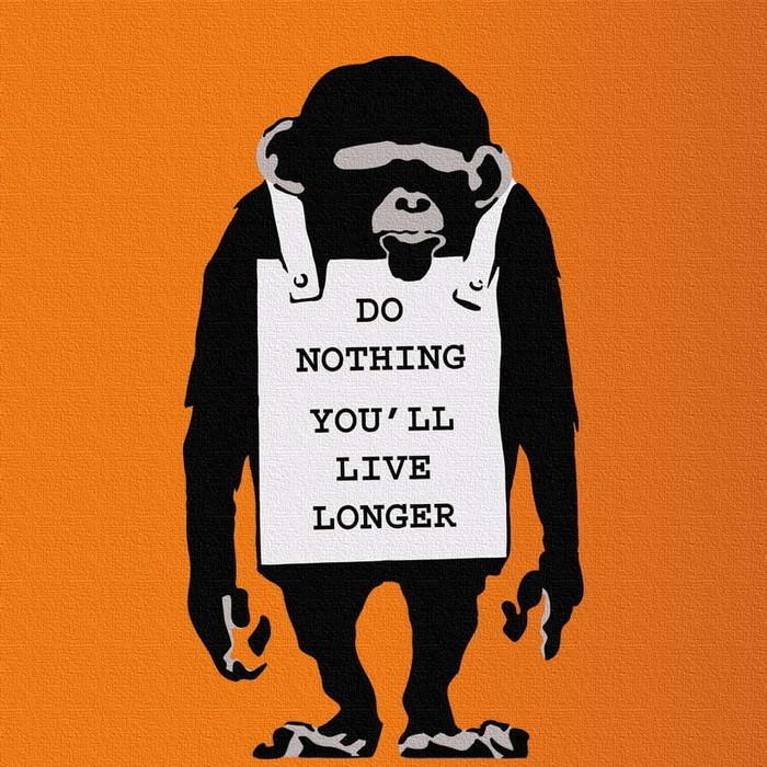 バンクシー デザイン Banksy Design 日本正規ライセンス エイプ bdld