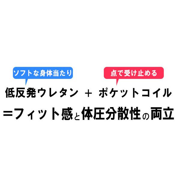 パネル型ラインデザインベッド ダブル SGマーク付国産低反発ウレタン入ポケットコイルスプリングマットレス付 to-10-284-d-108507 送料無料 北欧 モダン 家｜genco1｜15