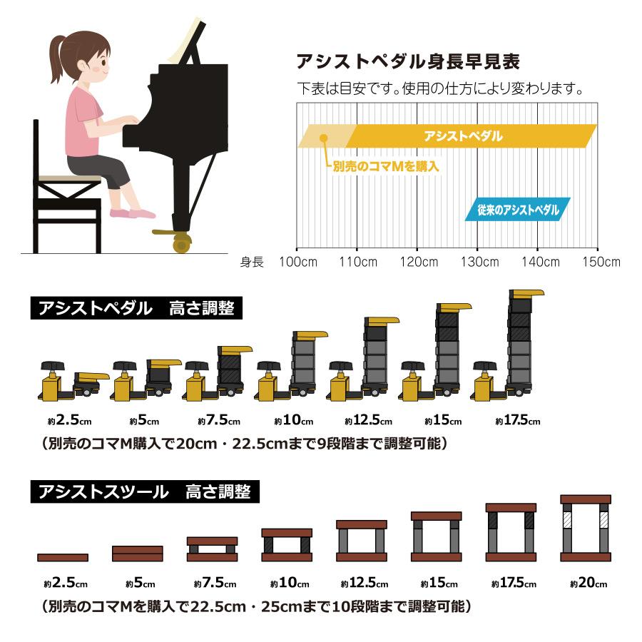 セット商品】 ジェネピス アシストセット 2023年モデル 標準品 セット商品】 ジェネピス アシストセット 2023年モデル 標準品