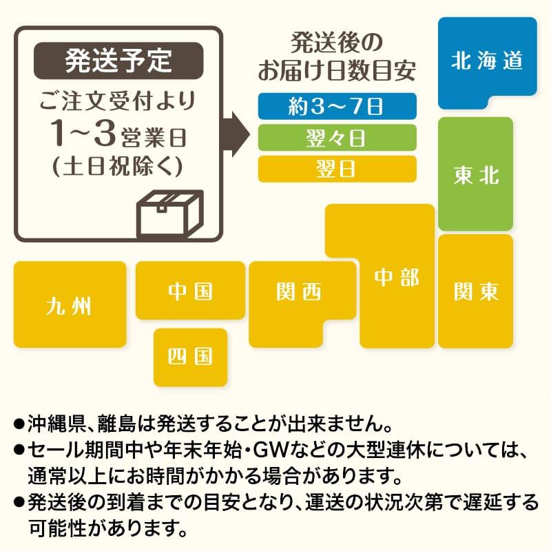 レーシング ギア LED ナンバープレート 軽自動車用 RGH-P804｜general-mobility｜02