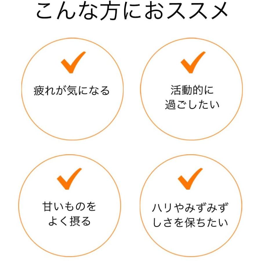 バランスビタミンb群 ｃ 30日分 60粒 日本新薬 代引不可 ビタミンc 栄養機能食品 葉酸 ビタミンb群