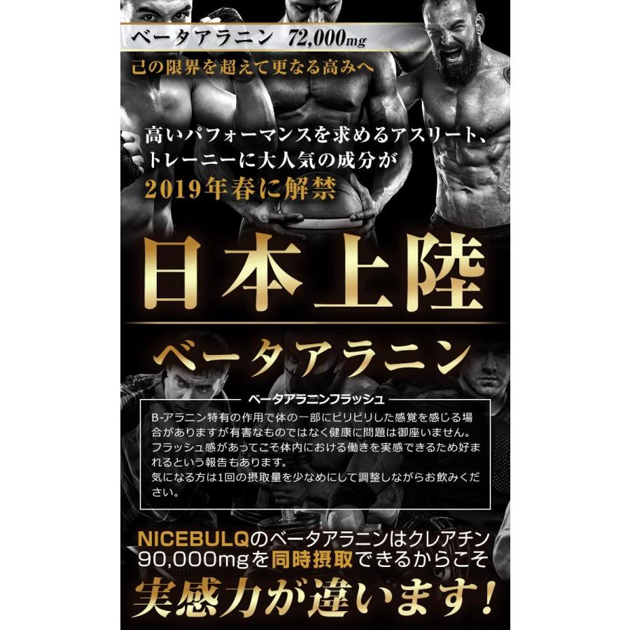 Nicebulq ナイスバルク ベータアラニン700mg クレアチンmg 30 60日分 006 General Purpose 通販 Yahoo ショッピング