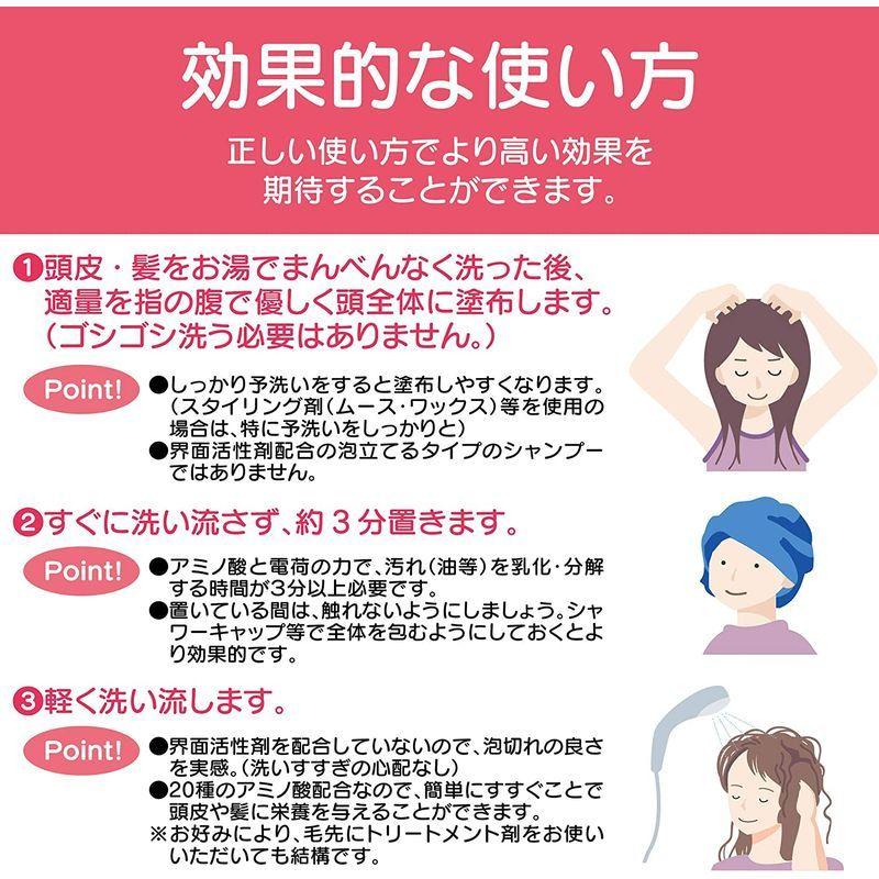 泡立てない、ゴシゴシしない、ただ頭皮に置くだけ recelsier（リセルジェ）シャンプー 詰替え用 1，000ml 泡立てない ゴシゴシしない ただ頭皮に置くだけ recelsier リセルジェ シャンプー 詰替え用 1，000ml