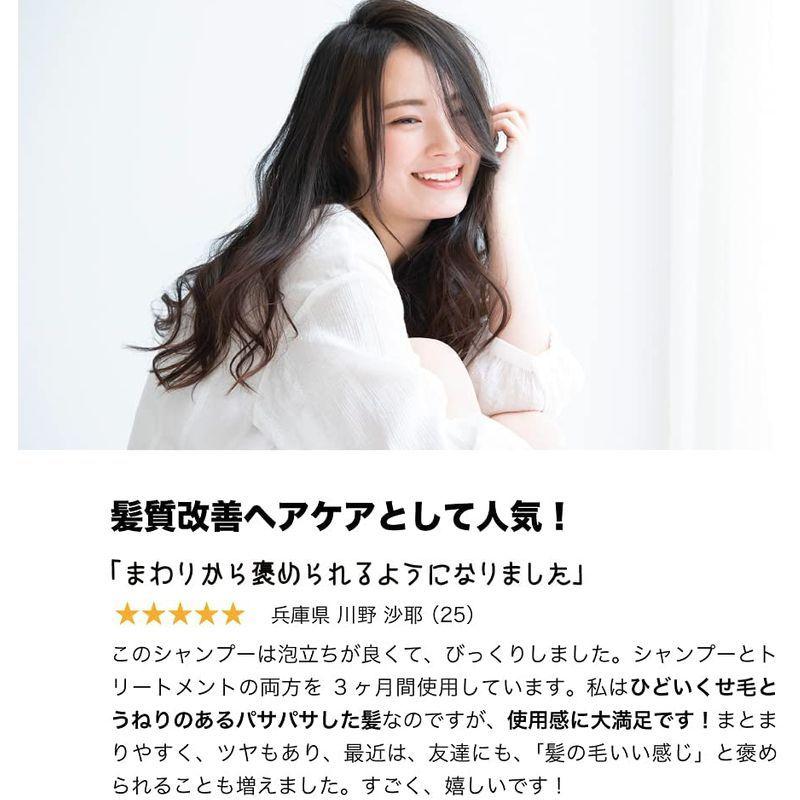 ヘアトリートメント SBCP 生 ミネラル トリートメント ＋(1000ml) ドクターズ コスメ 男性 女性 天然 フルボ酸 琥珀エキス ヘアトリートメント SBCP ミネラル トリートメント 1000ml ドクターズ コスメ 男性 女性 天然 フルボ酸 琥珀エキス