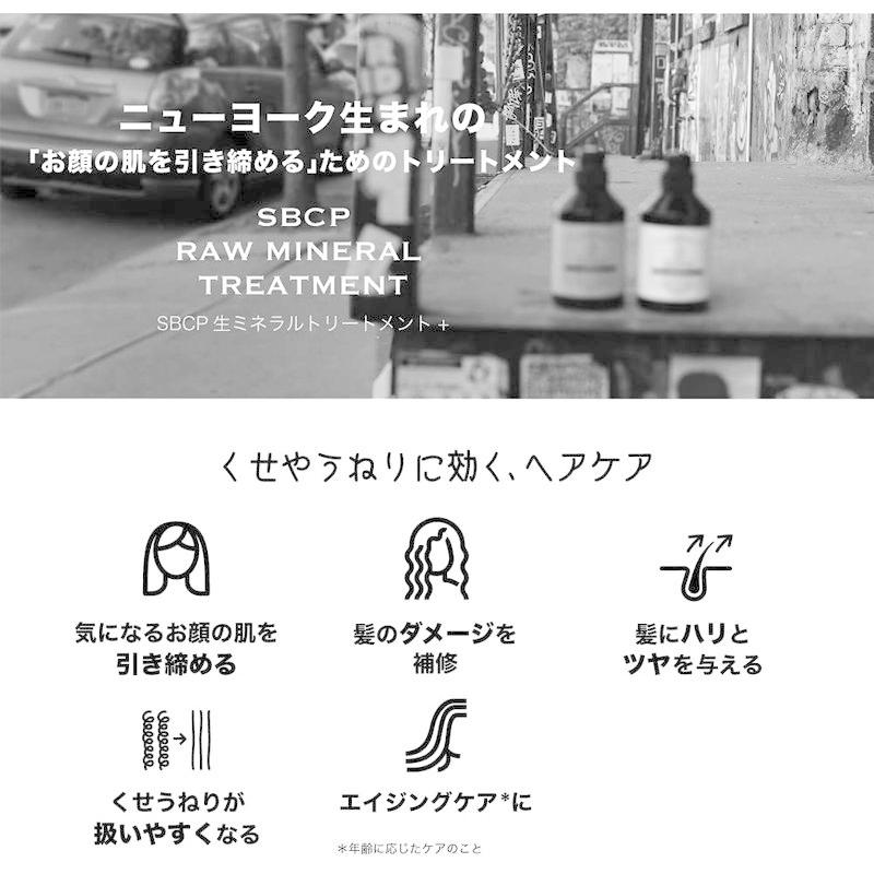ヘアトリートメント SBCP 生 ミネラル トリートメント ＋(1000ml) ドクターズ コスメ 男性 女性 天然 フルボ酸 琥珀エキス ヘアトリートメント SBCP ミネラル トリートメント 1000ml ドクターズ コスメ 男性 女性 天然 フルボ酸 琥珀エキス