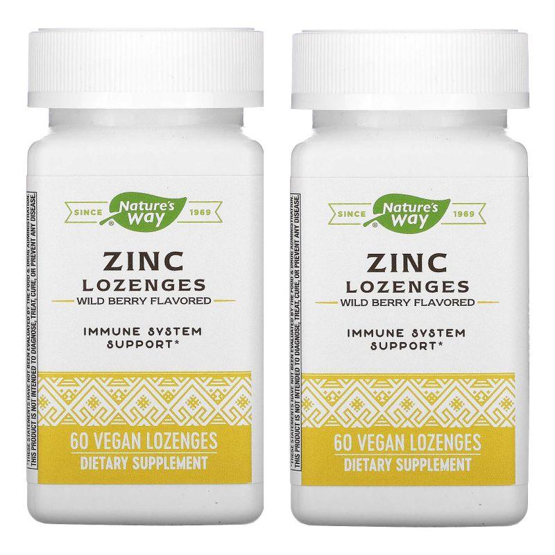 2個セットNature's Way Zinc, 60 LOZENGES WITH ECHINACEA & VITAMIN C