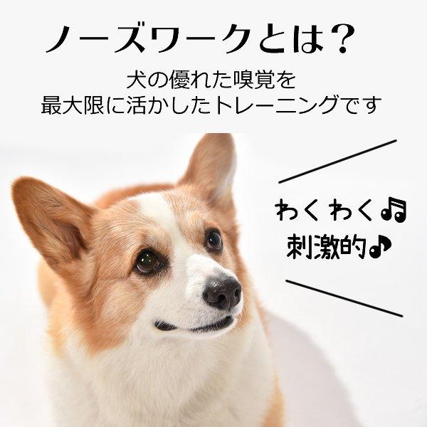 犬のおもちゃ 嗅覚訓練 運動不足 ストレス解消 ノーズワークマット 犬 プレイマット ペット 訓練マット 犬 イヌ 猫 兼用 Tx070 ショップgeneral Pause 通販 Yahoo ショッピング