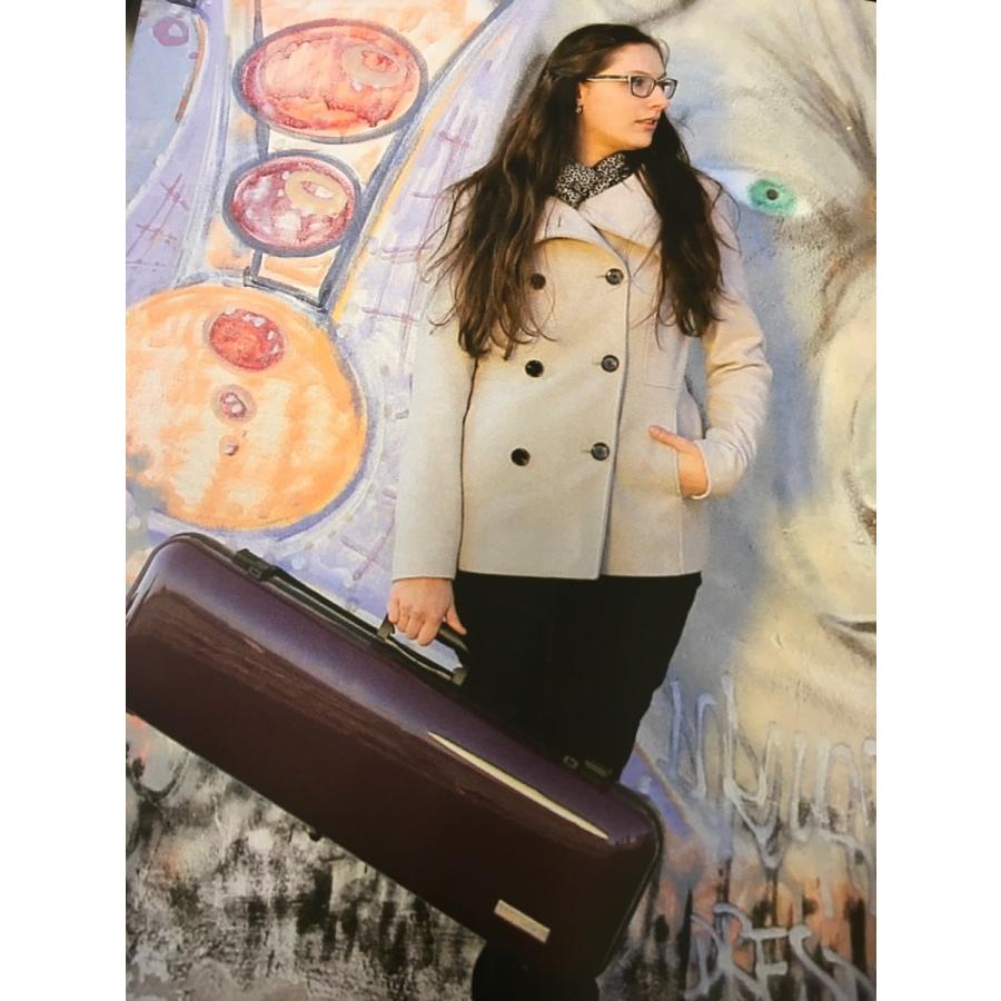 GEWA AIR OBLONG ゲヴァ エア オブロング型ヴァイオリンケース