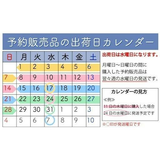 台北アンバサダーホテル 國賓飯店 パイナップルケーキ 10個入 完全予約販売 Ga F Pineapple10 Genie 通販 Yahoo ショッピング