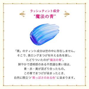 資生堂 マジョリカ マジョルカ マジックティント 6g「メール便送料無料(A)」｜genki-eshop｜05