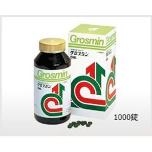 送料無料 グロスミンcve 1000錠 クロレラ健康食品 最大91 オフ