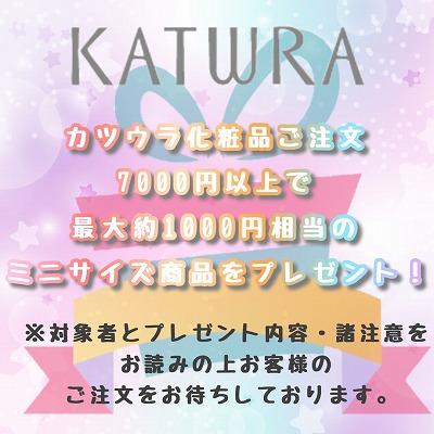 カツウラ ボディフローテG 240g【キャンペーン対象商品(G)】「宅配便送料無料(B)」｜genki-eshop｜02