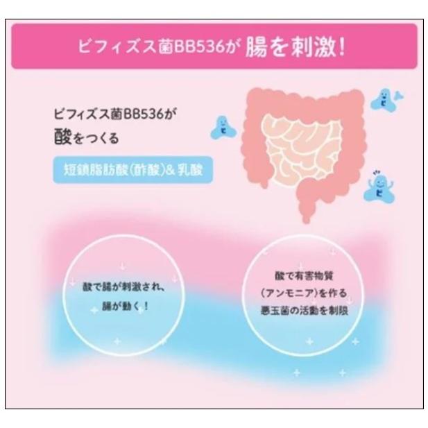 森永製菓 森永 クリニコ アクトケア ビフィズス菌末 BB536 2g×30