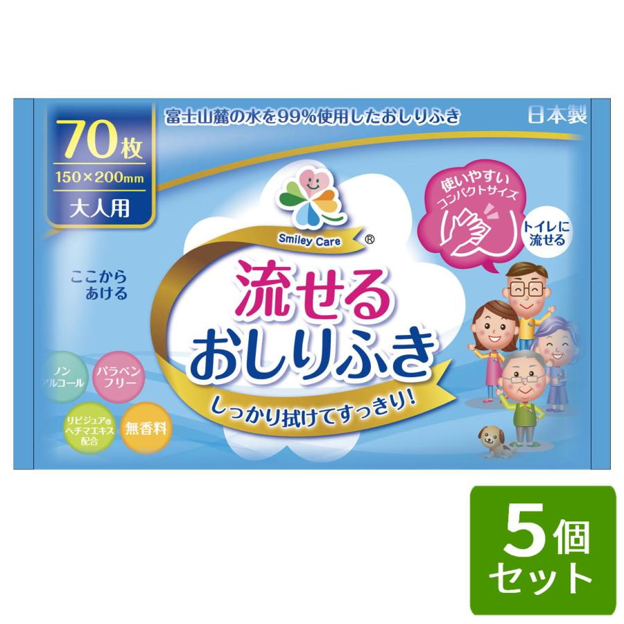 大一紙工 流せる おしりふき 大人用 70枚 (15cm×20cm) おしりふき 5個