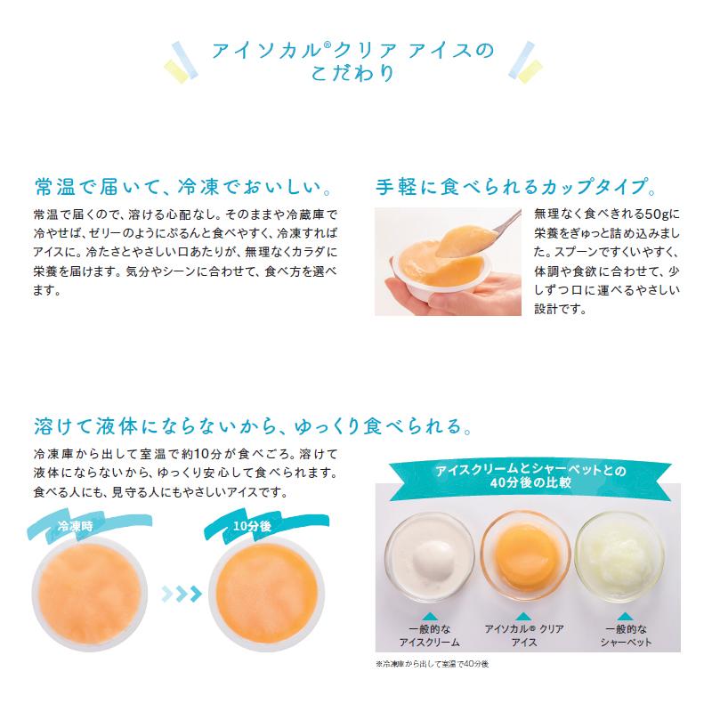 Nestle（ネスレ） 介護食 アイソカルクリアアイス みかん味 50g×24個 1