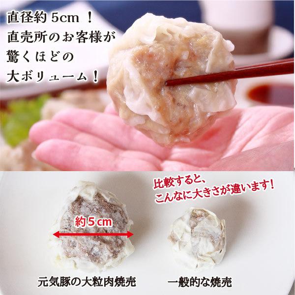 元気豚 大粒肉焼売 50g 6個入 379 健康育ちの元気豚 通販 Yahoo ショッピング