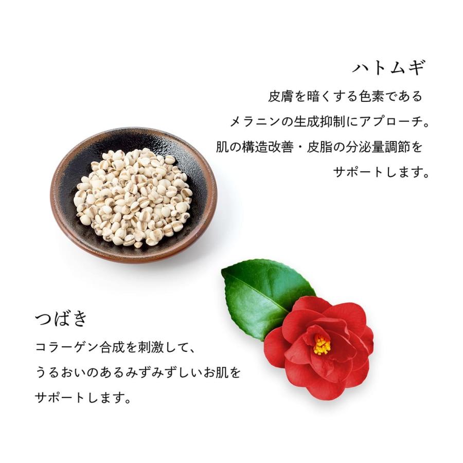 白肌 : アジアの駅 - 通販 - Yahoo!ショッピング