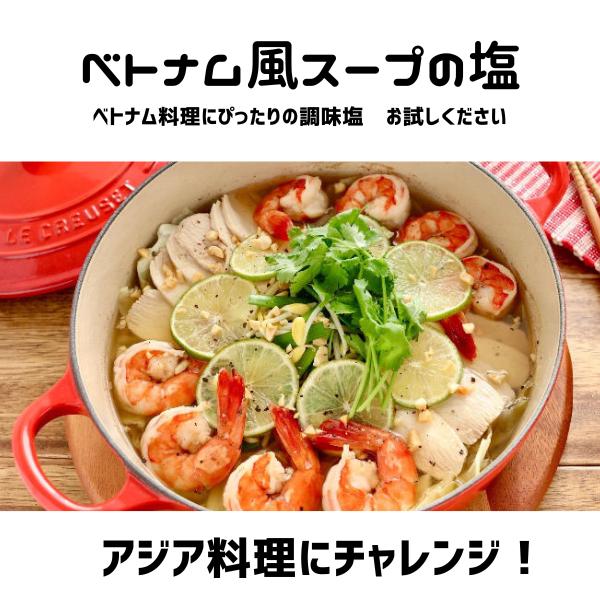 VIFON ベトナムスープの素 200g, BOT CANH VIFON　（１０袋セット）｜genkifami｜05