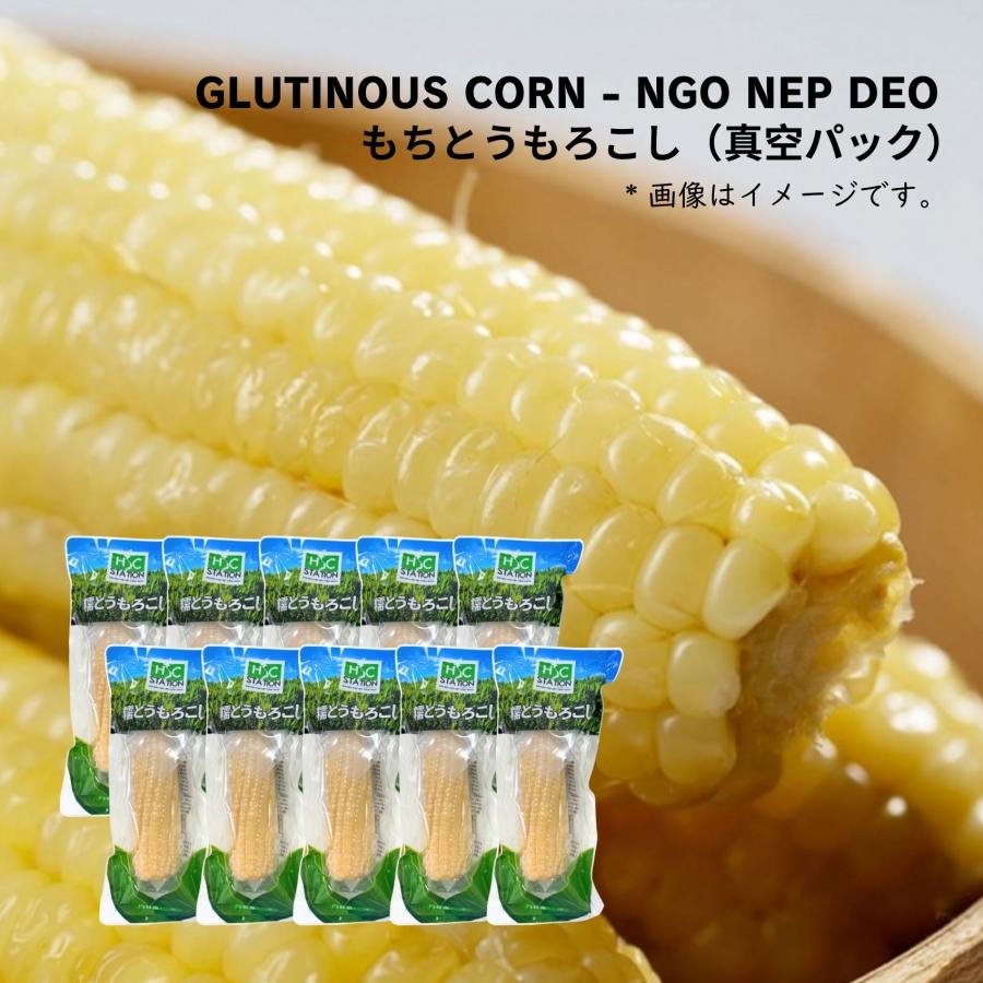 中国産 】糯トウモロコシ 260g ( 10本セット), NGO NEP HSC : アジアの