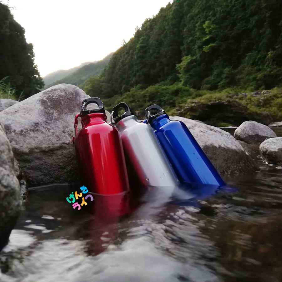 シンプル アルミ ボトル 500ml カラビナ付き 60本 水筒 キャンプ アウトドア 水素水 景品 プレゼント ギフト ビンゴ Mtnab60 げんきライフ 通販 Yahoo ショッピング