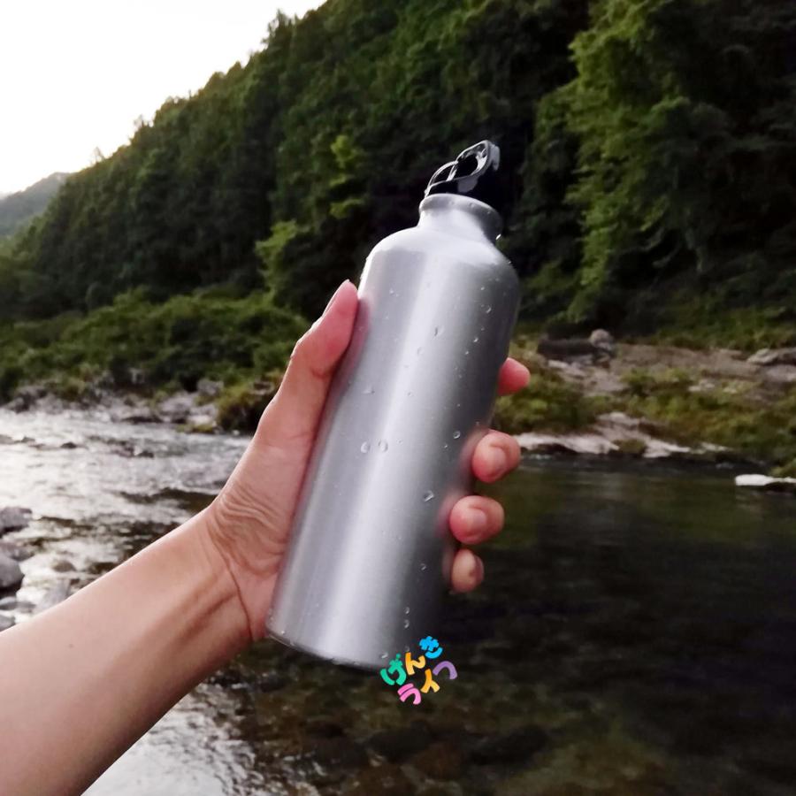 シンプル アルミ ボトル 500ml カラビナ付き 60本 水筒 キャンプ アウトドア 水素水 景品 プレゼント ギフト ビンゴ Mtnab60 げんきライフ 通販 Yahoo ショッピング