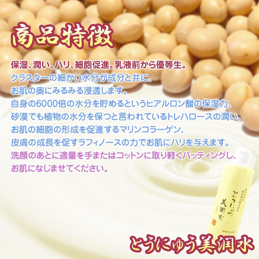 ダイイチ とうにゅう美潤水 300ml 1個 豆乳 化粧水 スキンローション