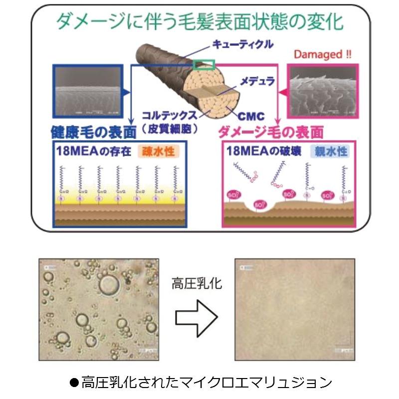 ノンシリコンタイプの洗い流さない エルコス トリートメント CMCケアミスト AID 200ml｜genkinakami｜03