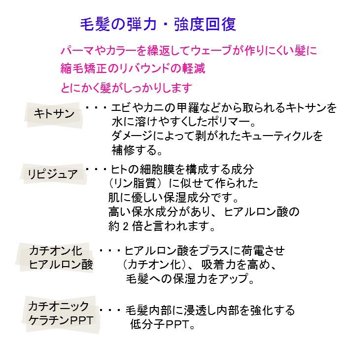 毛髪をダブル強化 エルコス セラップR2 1000ml｜genkinakami｜02