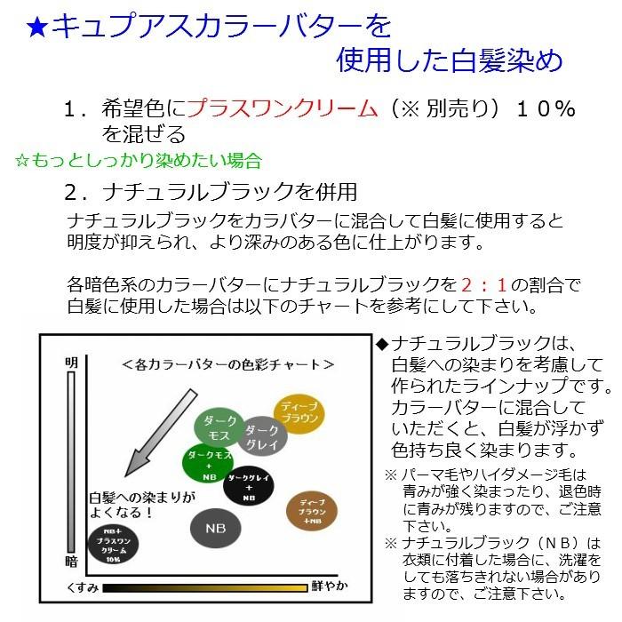エルコス キュプアスカラーバター ナチュラルブラック 700g 2点セット エルコス キュプアス カラーバター 塩基性 カラー | 【Trigoodspro】理