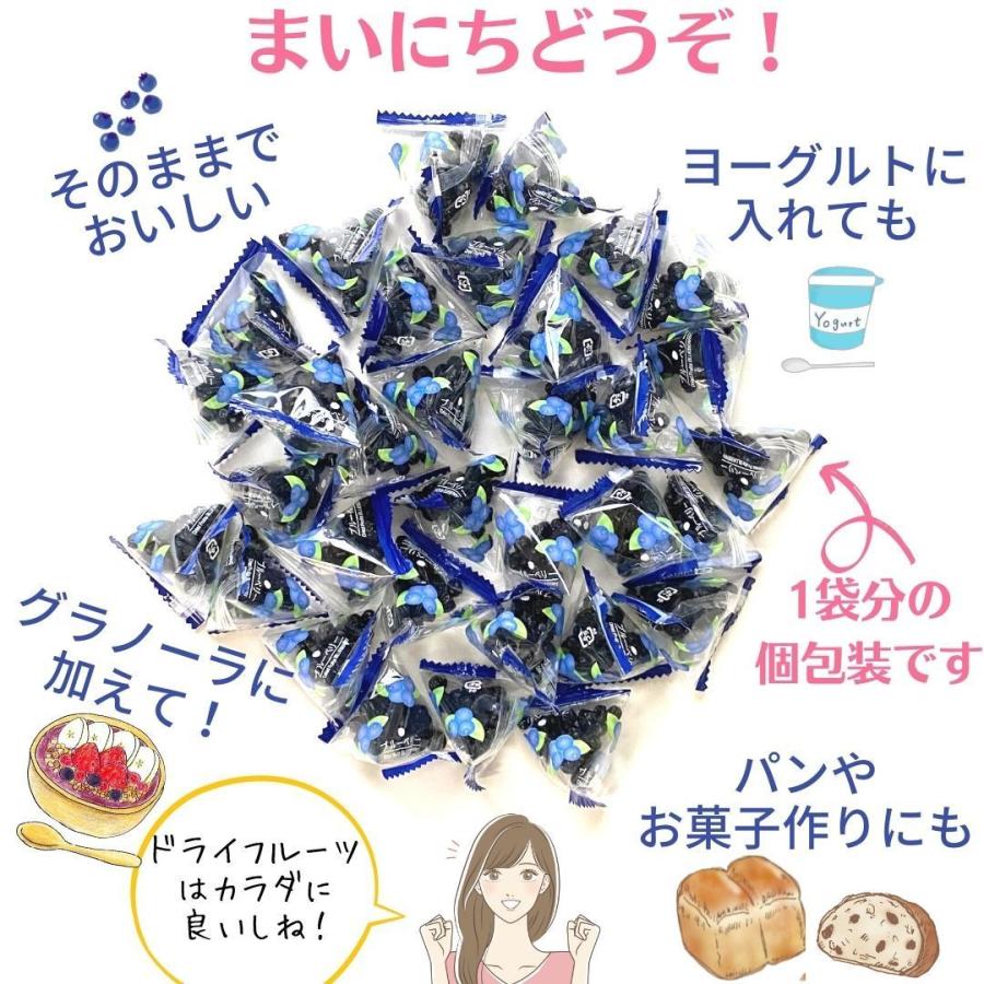 ドライフルーツ ブルーベリー 個包装 アメリカ産 タクマ食品