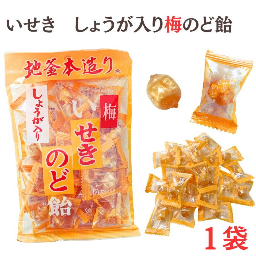 井関食品（iseki syokuhin） メール便 しょうが入 梅のど飴 いせき