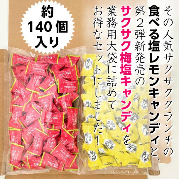 メール便【食べる塩レモンキャンディ、サクサク梅塩キャンディ 300g×2袋セット】松屋製菓 熱中症対策|genkini-nare|03