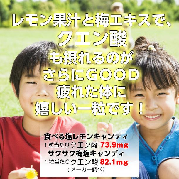 メール便【食べる塩レモンキャンディ、サクサク梅塩キャンディ 300g×2袋セット】松屋製菓 熱中症対策|genkini-nare|08