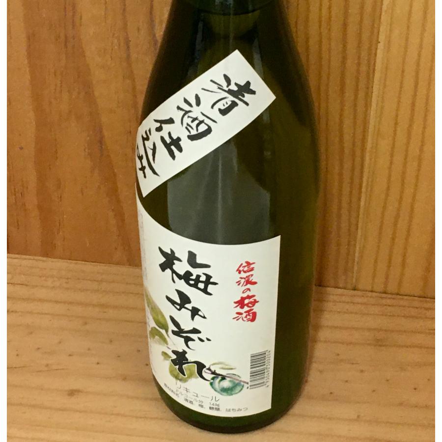 長野県 信州銘醸 信濃の梅酒 梅みぞれ 14度 720ml 日本酒仕込 果肉入り