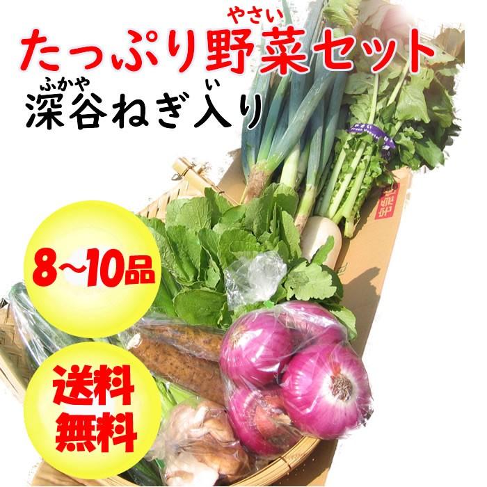 深谷ねぎ入り・たっぷり新鮮野菜セット 8〜10品目【送料無料】｜genkioukoku