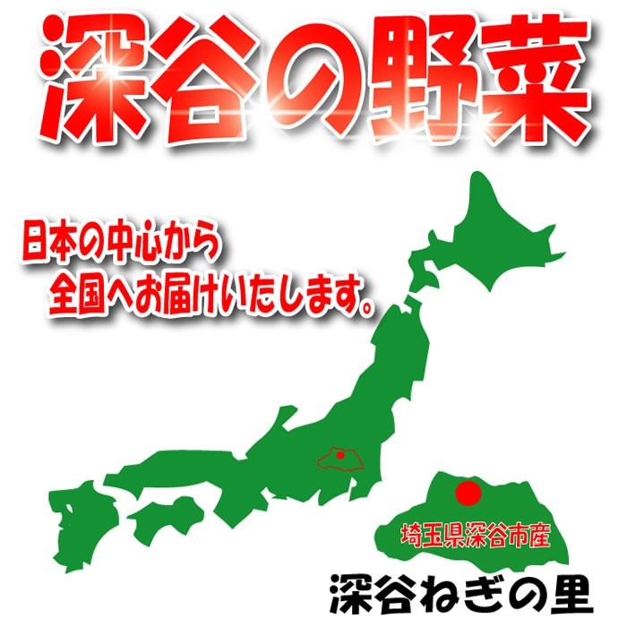 深谷ねぎ入り・たっぷり新鮮野菜セット 8〜10品目【送料無料】｜genkioukoku｜02