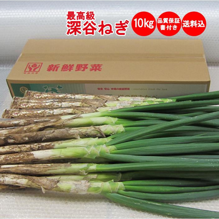 冬ギフト】深谷ねぎ 10Kg 【送料込み 贈答用 発送限定：11月下旬から
