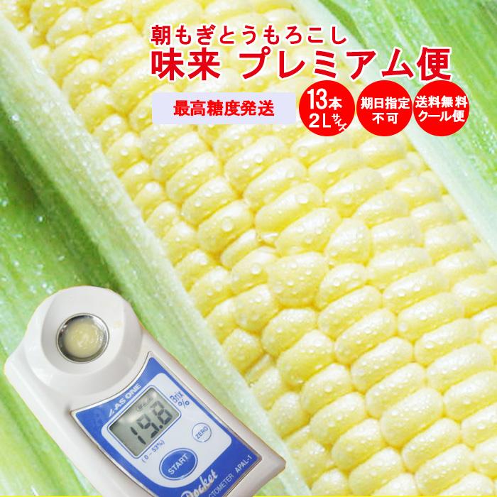 夏ギフト】プレミアム便 朝もぎ味来1箱2Lサイズ 13本入り【送料込 産地
