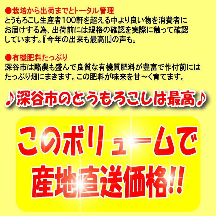 【夏ギフト】プレミアム便 朝もぎ味来1箱2Lサイズ 13本入り【送料込 産地直送 高糖度の味来 前回は6月25日頃発送 クール宅急便 期日指定不可】【同梱不可】｜genkioukoku｜04