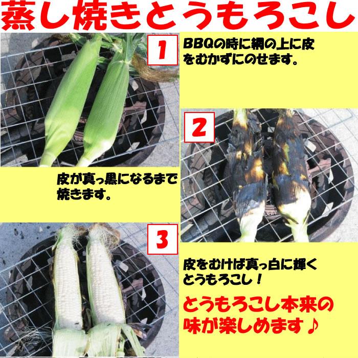 夏ギフト プレミアム便 朝もぎ味来1箱2Lサイズ 13本入り 送料込 産地直送 高糖度の味来 前回は6月15日頃発送 クール宅急便 期日指定不可 同梱不可 道の駅おかべ げんき野菜王国 - 通販 - Yahoo ショッピング